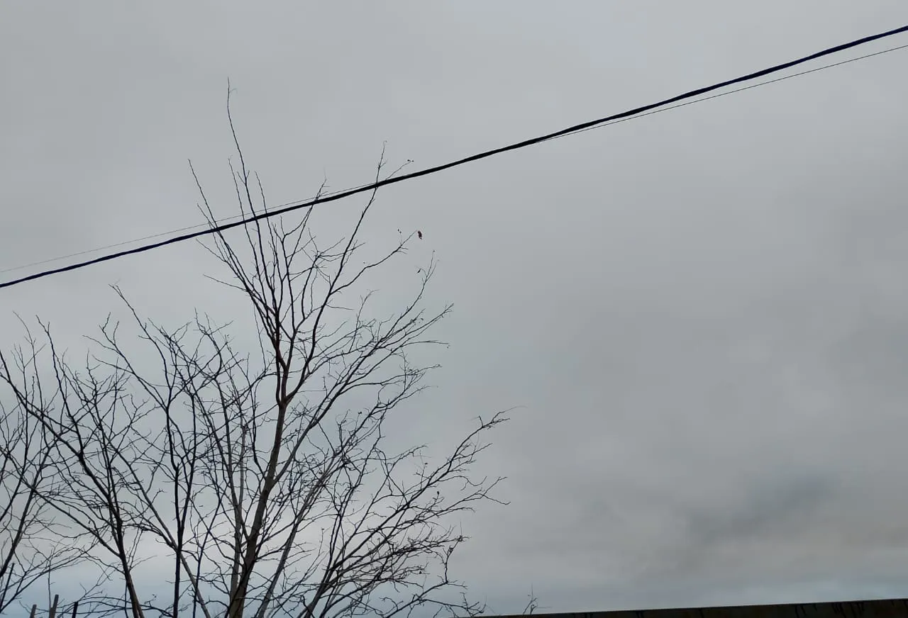 WhatsApp Image 2025-08-13 at 08.45.45