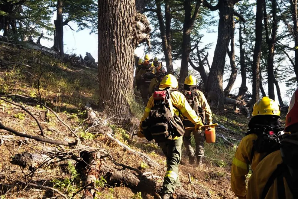 md - 2026-02-05T075632.466