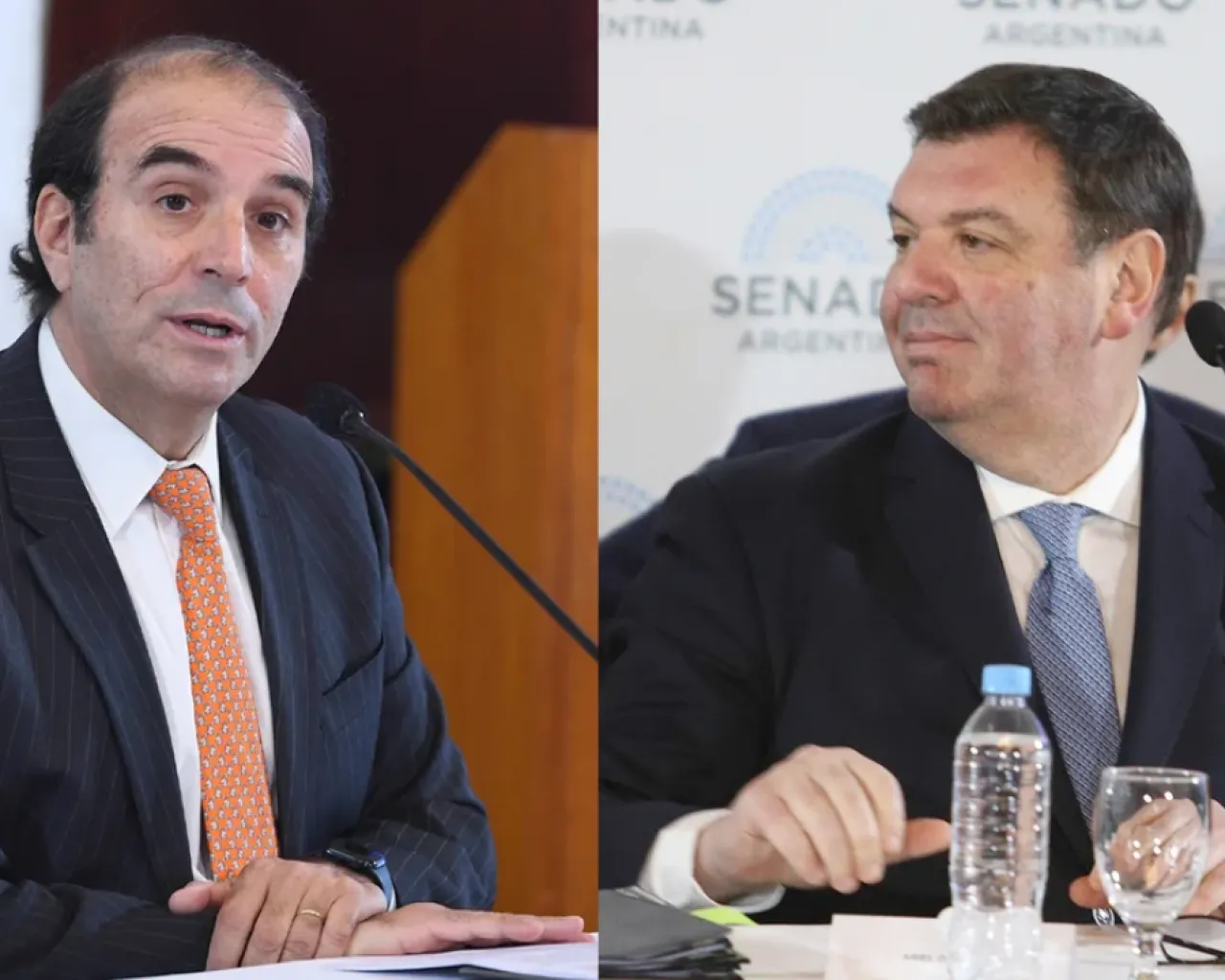 Ariel Lijo y Manuel García-Mansilla