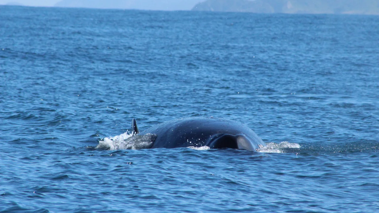 720 - 2025-11-29T102924.753