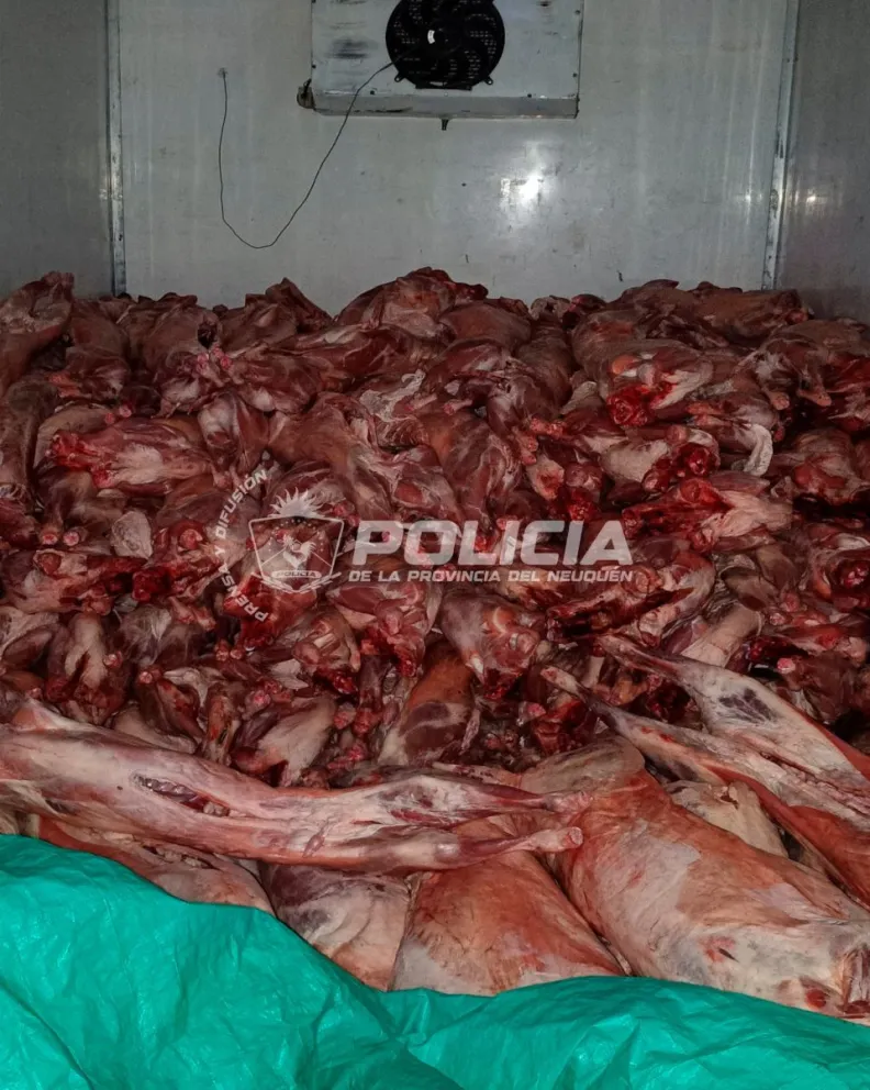 md - 2025-12-18T104219.399