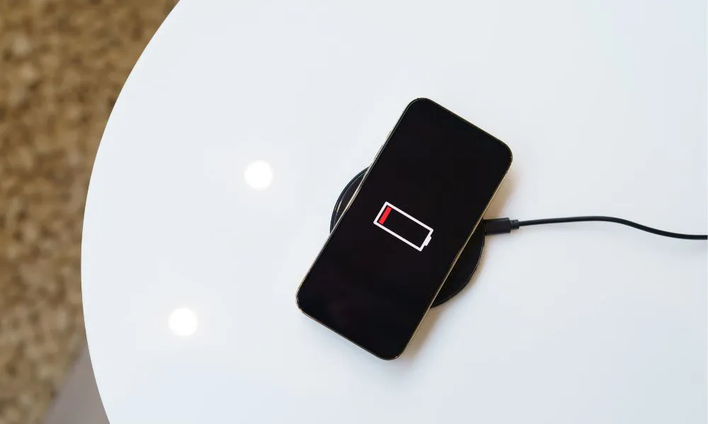 cuerpo-2024-11-01T112635.085