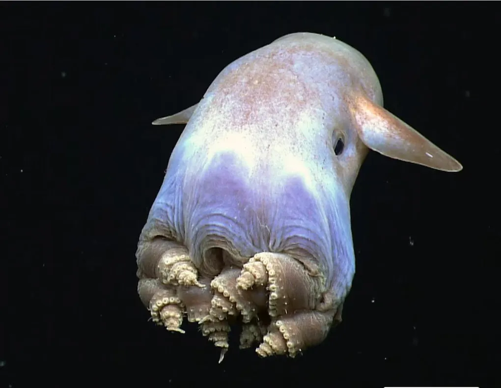 Opera Captura de pantalla_2025-08-06_212304_www.cadena3.com