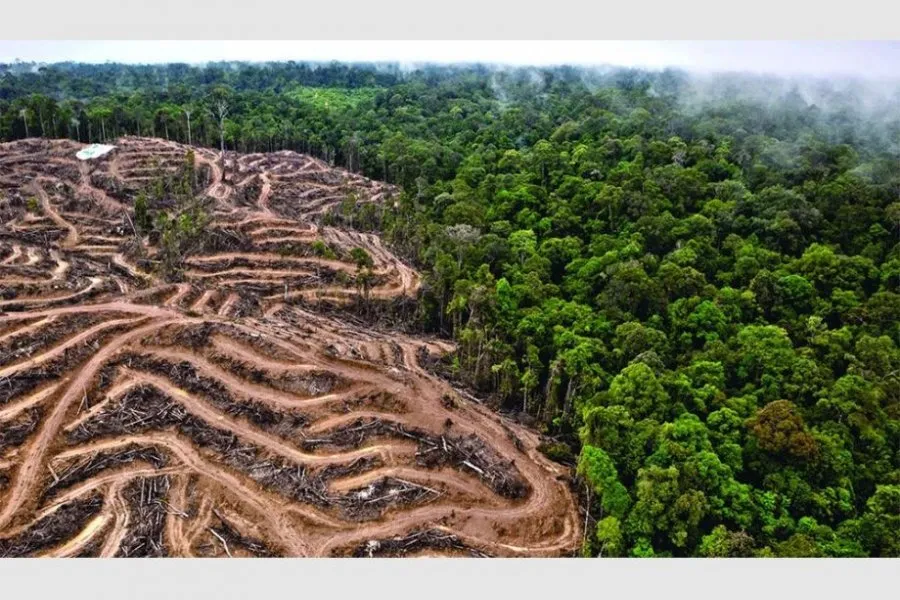 imagen_2023-06-27_112838852