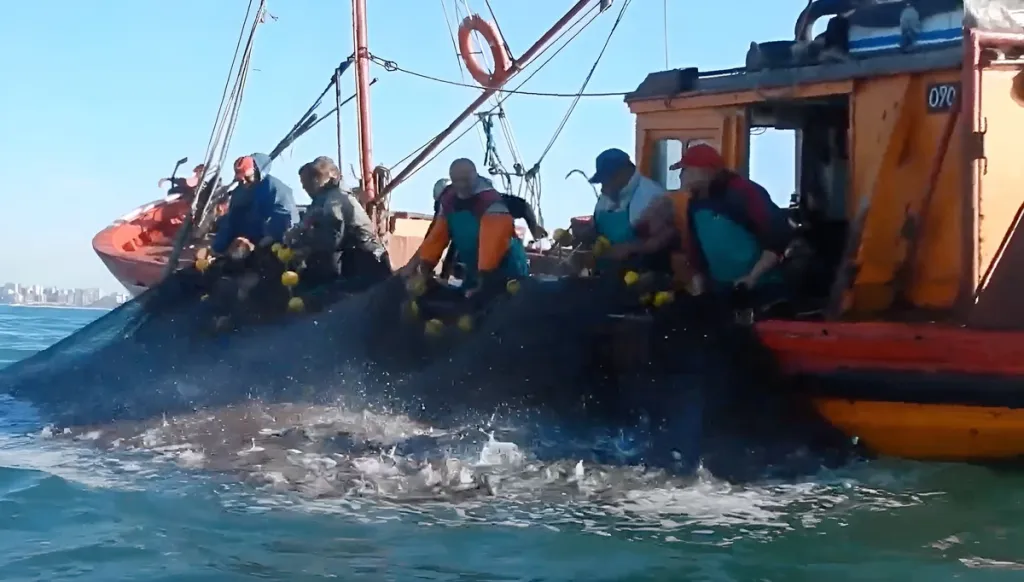 Lancha-pescando-anchoita-1-1