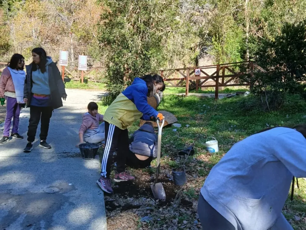 543610967_18531026248044946_7053806420775552511_n