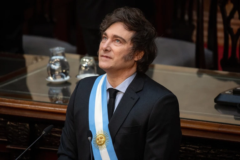 Milei año