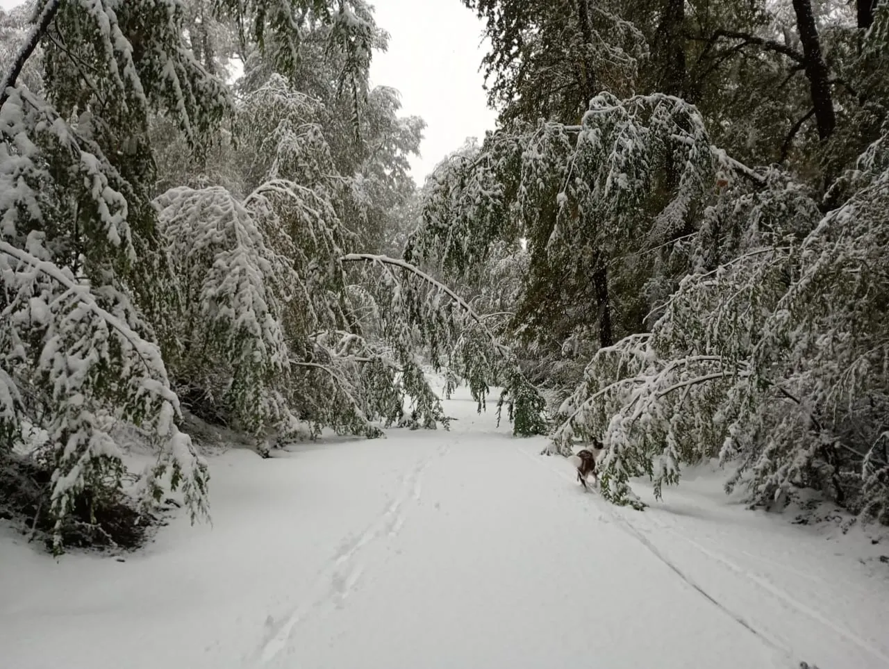 441854916_744100917902393_1613925263259753032_n