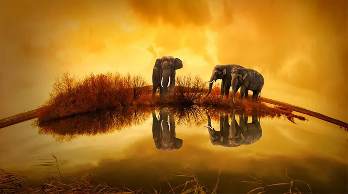 Calentamiento-global-o-Cambio-climatico-articulo-en-WEB-SGK-de-Sandor-Alejandro-Gerendas-Kiss