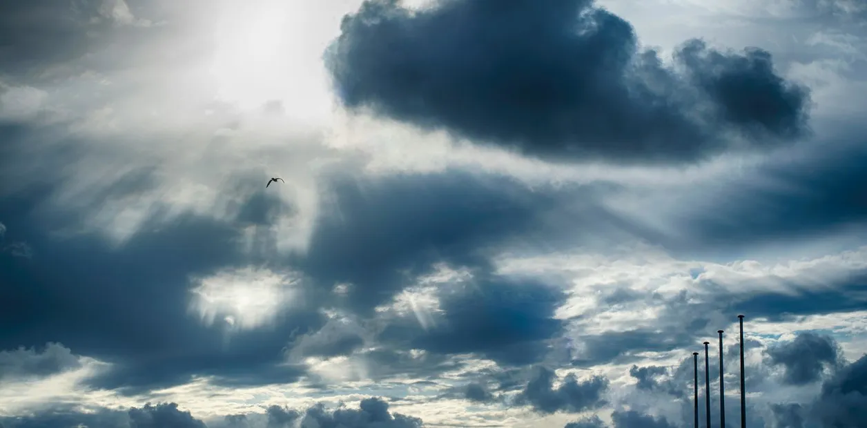 AaUsuUFHd_1256x620__1