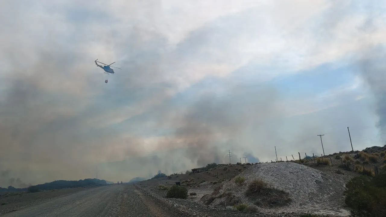 WhatsApp Image 2025-12-03 at 11.12.30 (1)