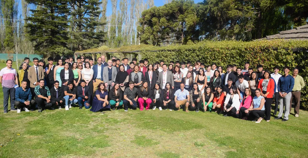 Practicas profesionalizantes