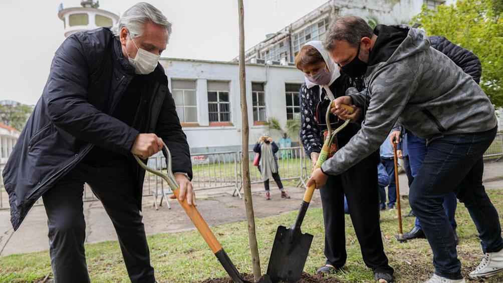 Alberto plantando un árbol