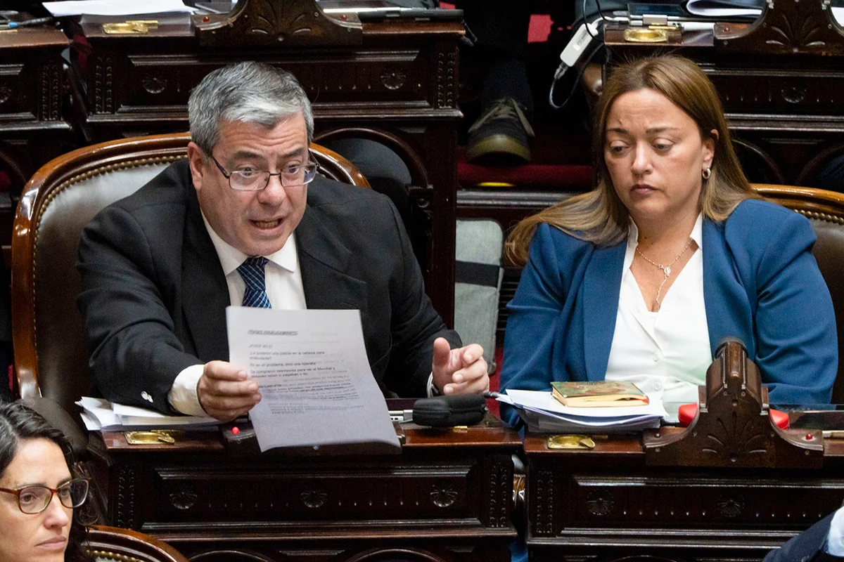 Reforma-del-Banco-Centra-en-diputados-foto-claudio-fanchi-na-4