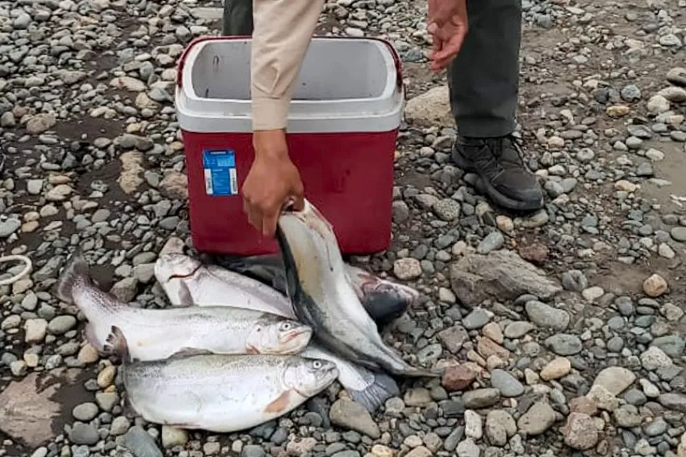 md - 2025-11-10T123746.364