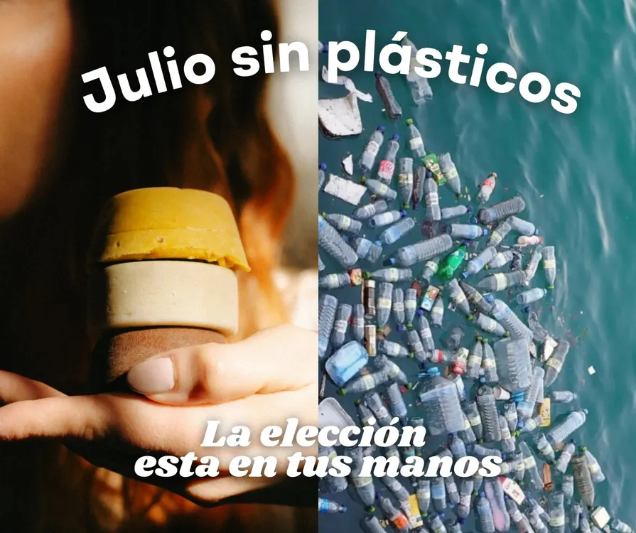 WhatsApp Image 2024-07-04 at 20.52.18