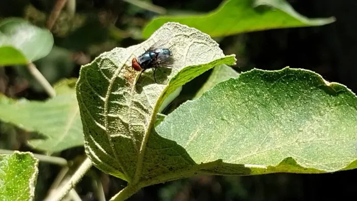 WhatsApp-Image-2023-12-13-at-10.17.10-700x394