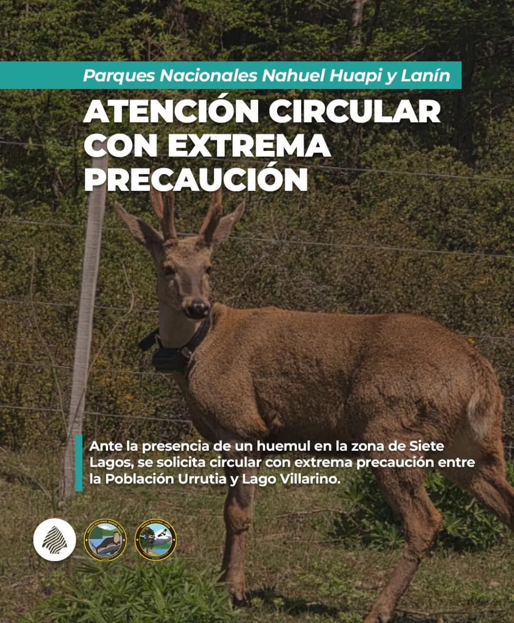 WhatsApp Image 2025-11-28 at 11.13.12