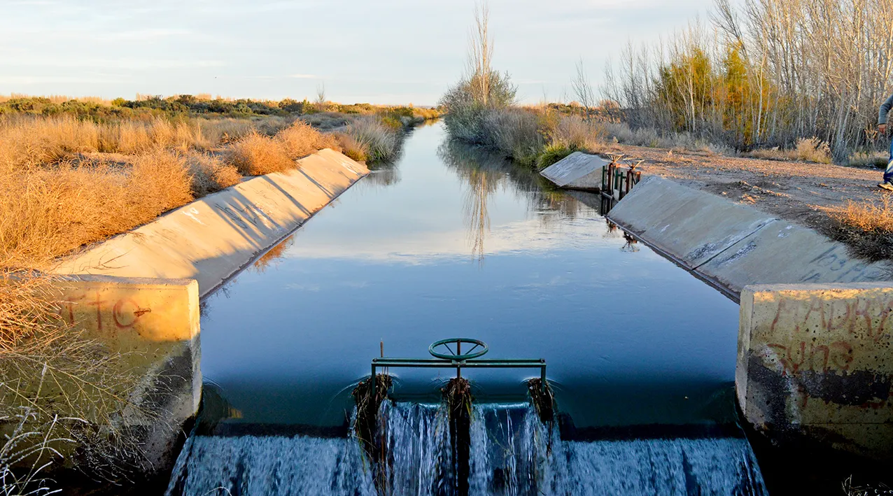 web-CANAL-DE-RIEGO-EN-P-LEUFU_0190-copy