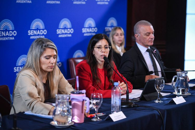 Plenario-Salud-Mental