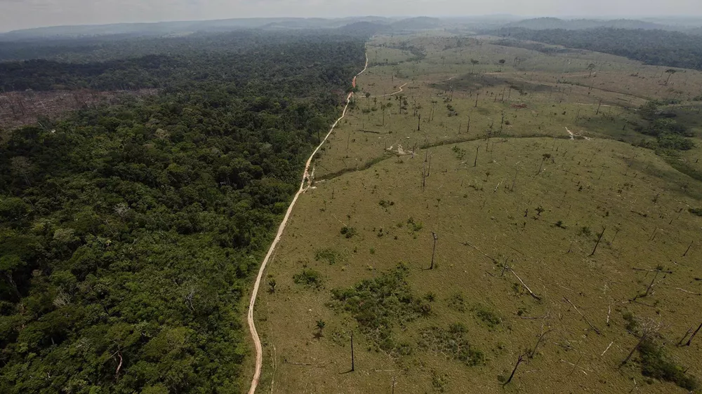 Deforestación Amazonia