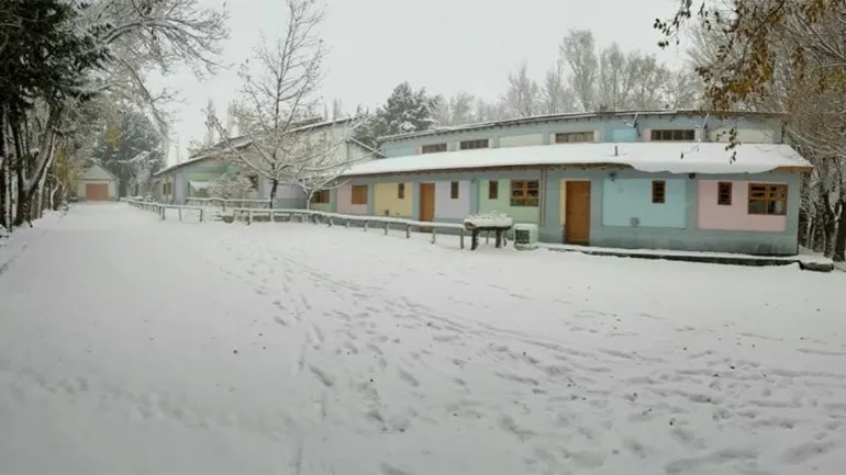 escuela210-coyucojpgjpg