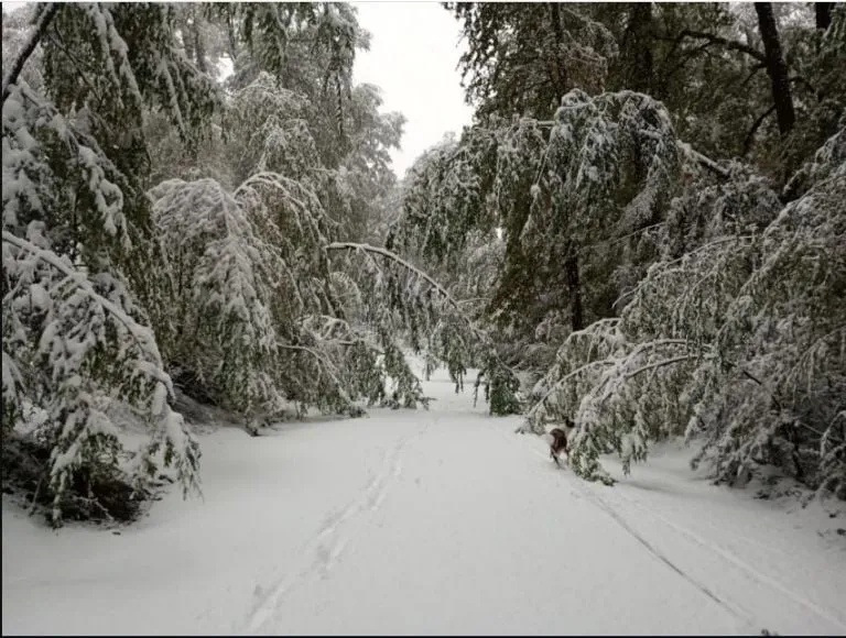 f768x1-669438_669565_5050