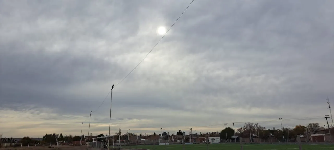 WhatsApp Image 2024-06-01 at 08.56.50