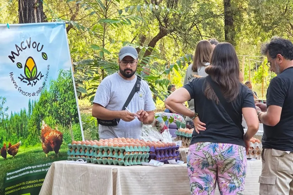 md - 2026-02-24T084829.112