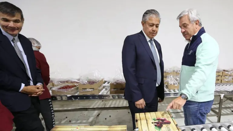 figueroa-vista-alegre-cerezasjpg