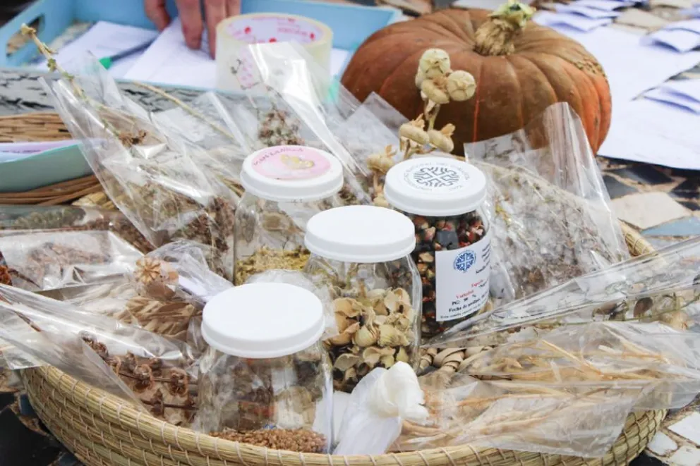 md - 2026-03-09T115235.711