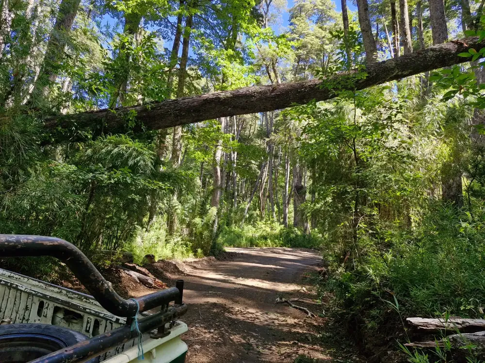 ec67a412-9813-43d7-bf0c-f0bbcead2b18