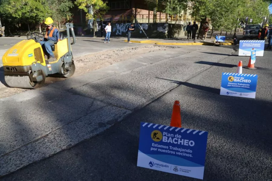 bacheo