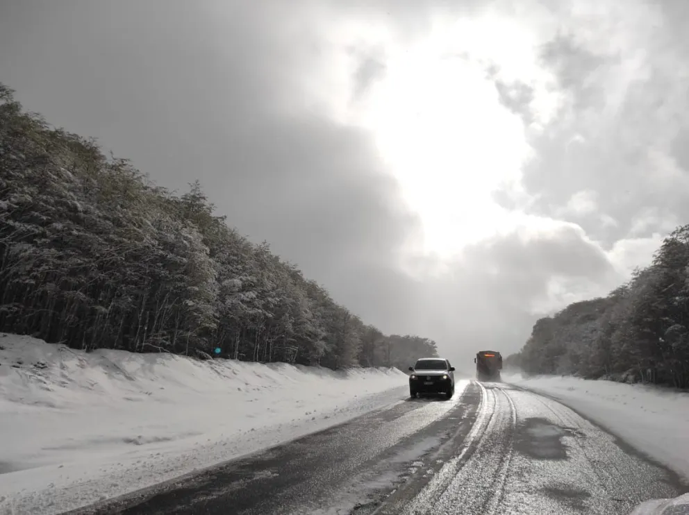 md - 2024-11-12T114236.062