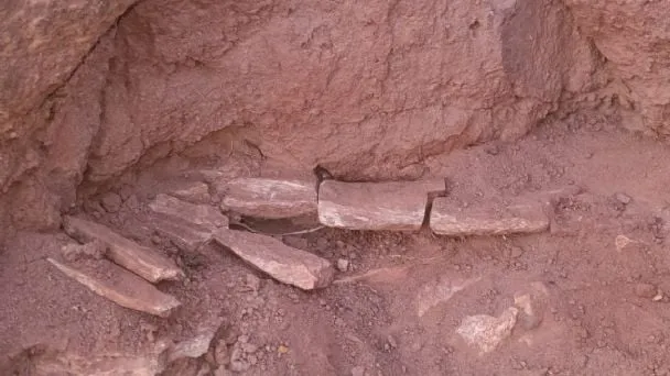 f608x342-165574_195297_5050