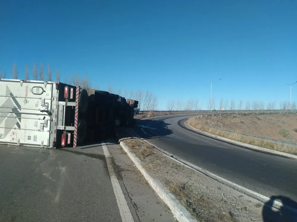 WhatsApp Image 2024-08-03 at 11.56.51