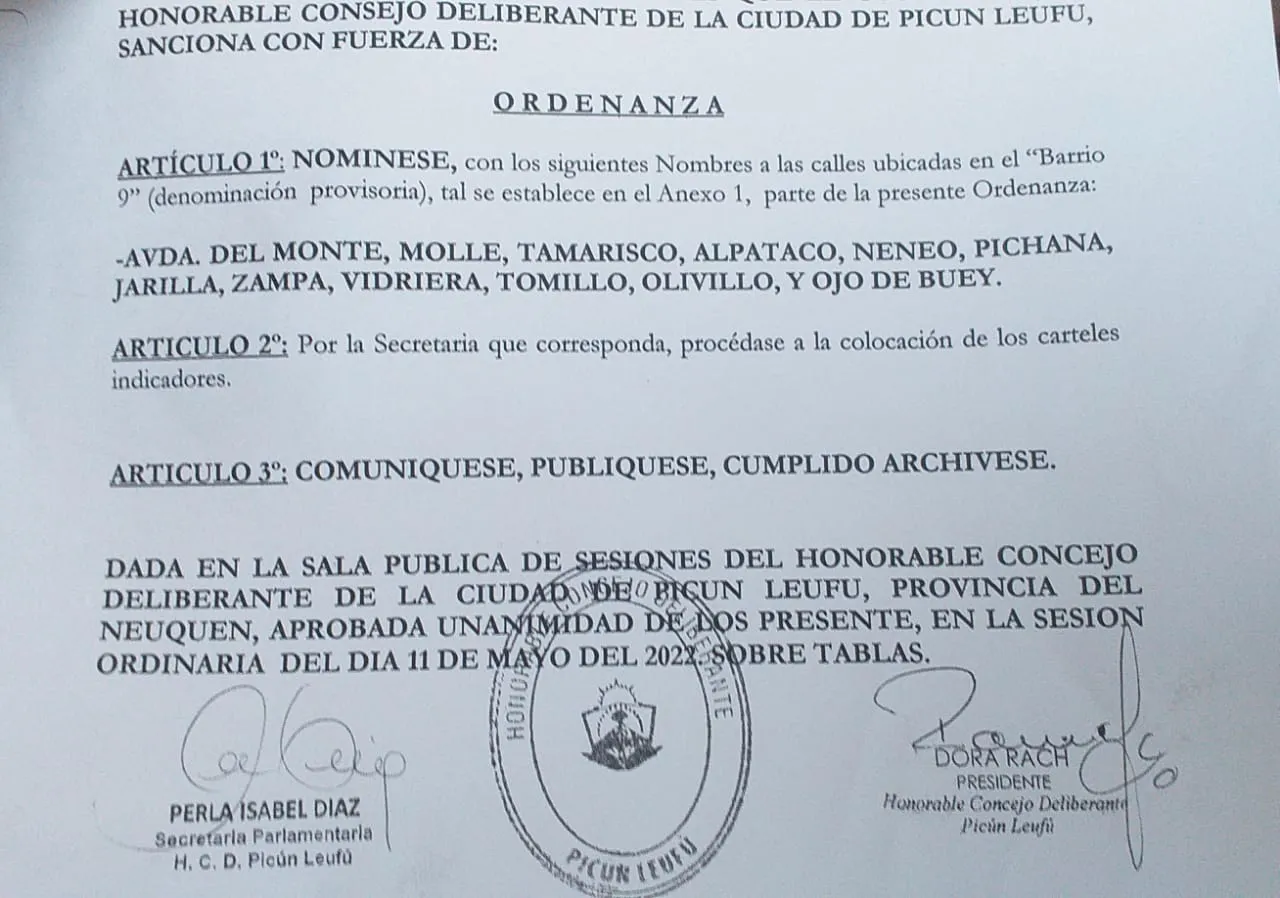 WhatsApp Image 2025-10-22 at 19.33.30