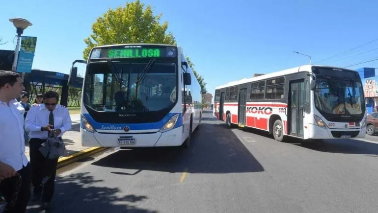 colectivo-koko-senillosa