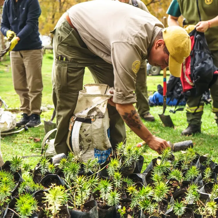 492714234_985000393812443_2319010828766889194_n