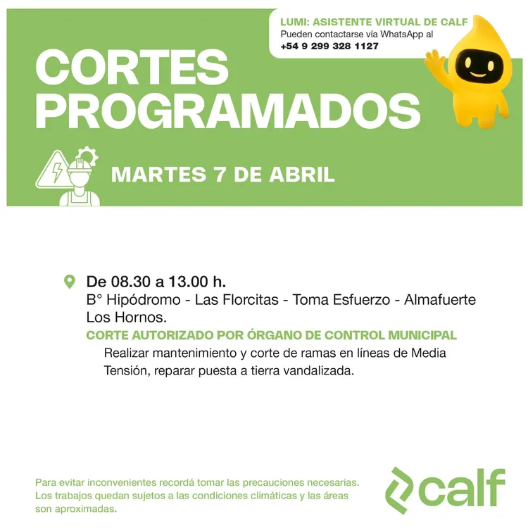 WhatsApp Image 2026-04-06 at 06.14.00