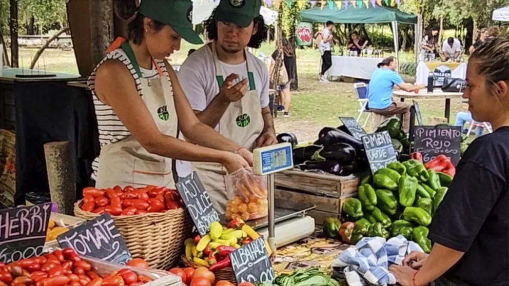 md - 2026-03-02T085722.595