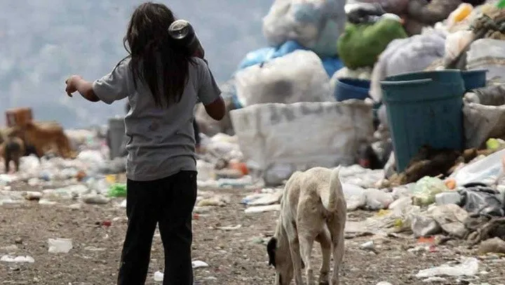 20241217_101342795_cro181224-004f01.jpg_1833193316