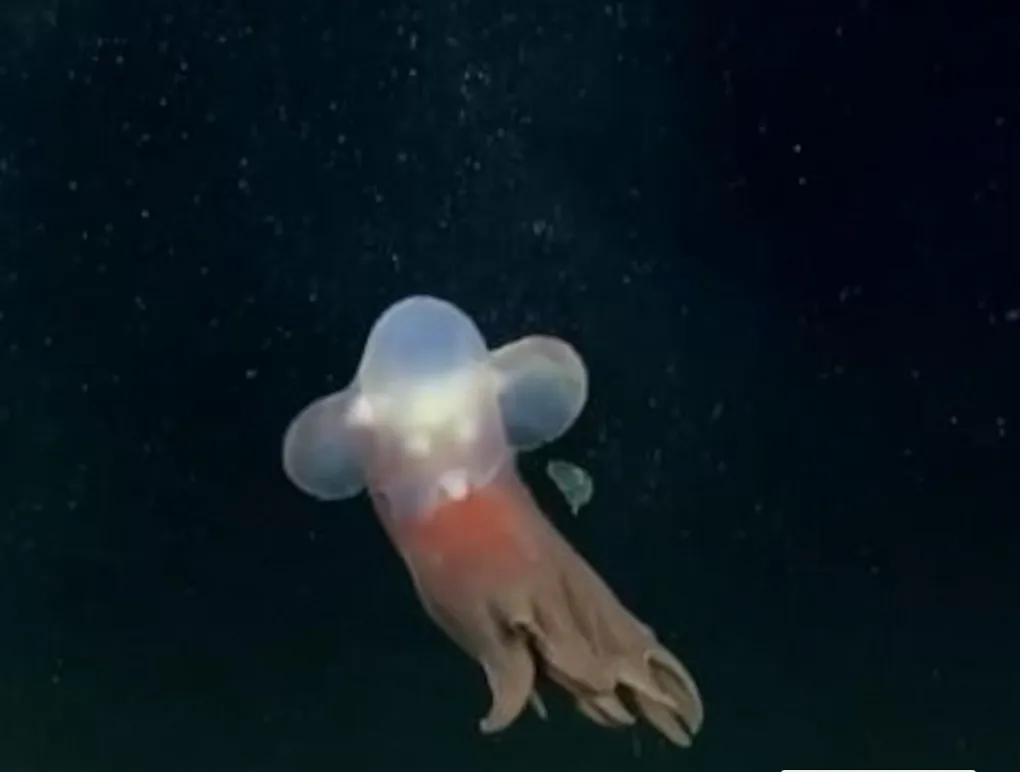 Opera Captura de pantalla_2025-08-06_212340_www.cadena3.com