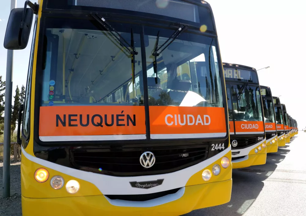 Colectivos