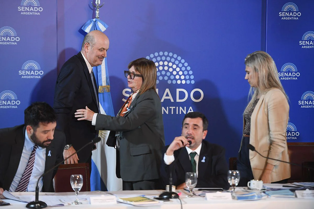 STURZENEGGER-CIERRE-PLENARIA-ASUNTOS-CONST-2-Santiago-Pezzini-Comunicacion-Institucional-Senado-1