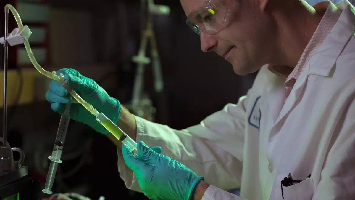 Pruebas con algas Exxon