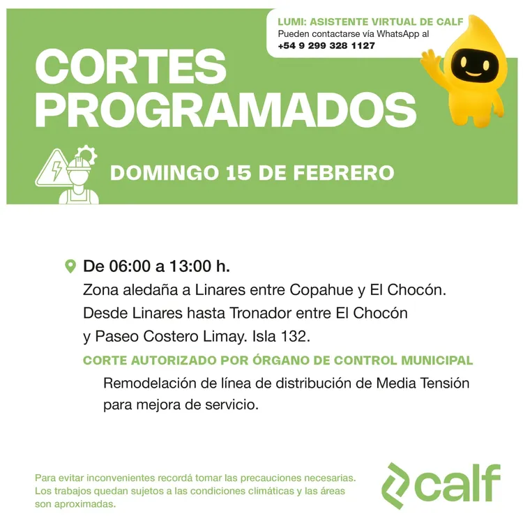 WhatsApp Image 2026-02-13 at 09.01.37