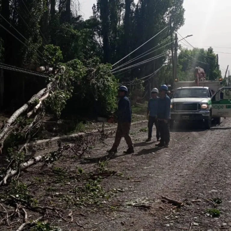 584561942_1162905222688800_8688483241455405109_n-768x768