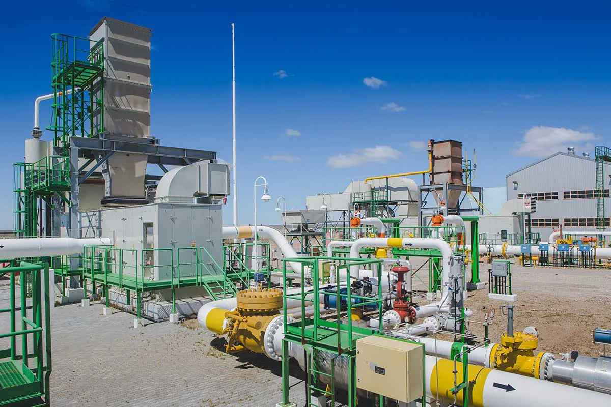 Planta_Manantiales_Behr