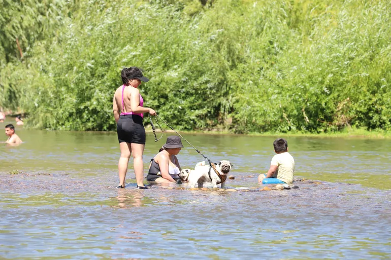 calor-rio-gatica-y-rio-grande-8jpg-perros-el-rio (1)